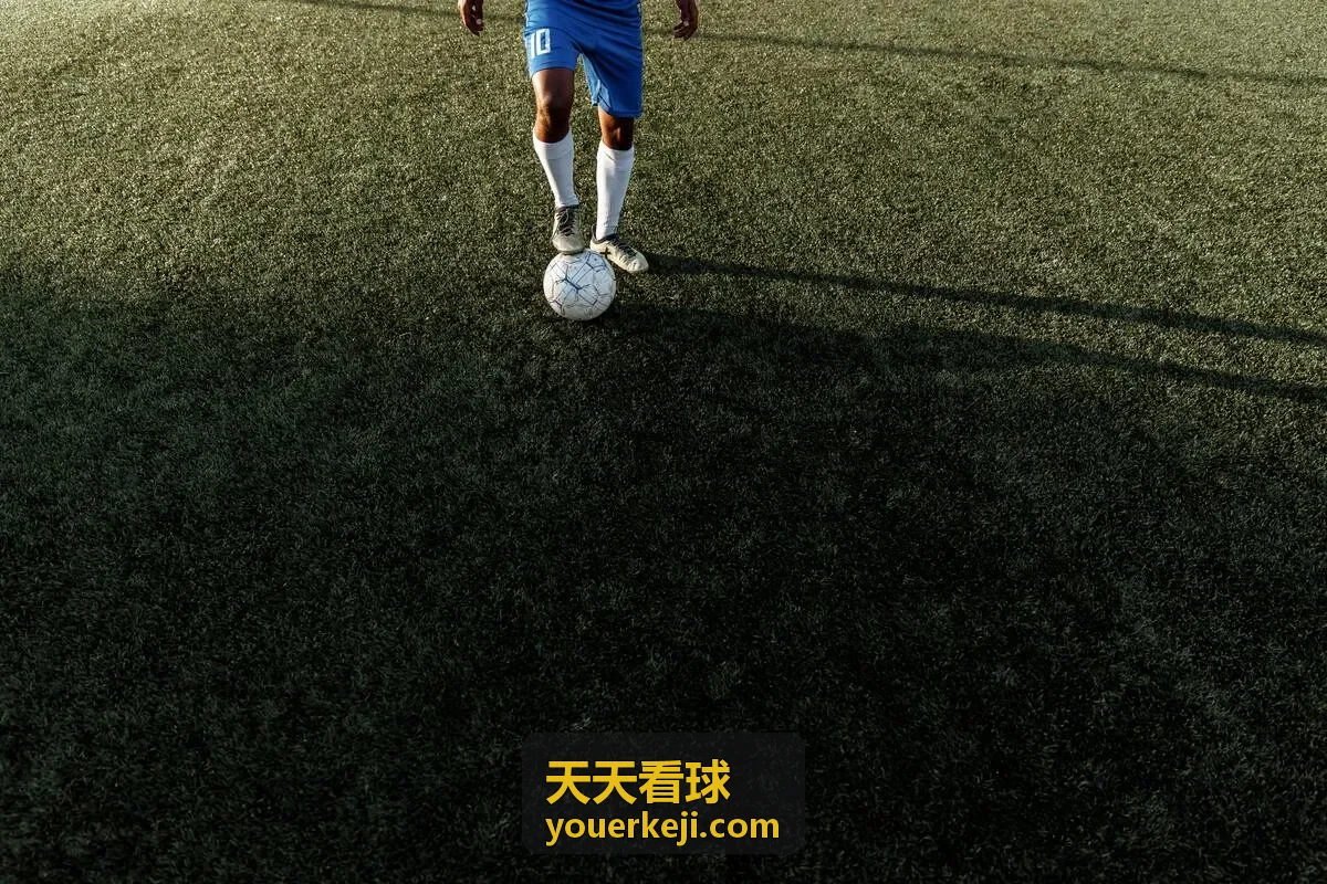 天天看球欧冠联赛精彩对决